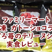 ファミリーマート　冷凍　濃厚なカカオの香り　ガトーショコラ＆ごろごろ苺のテリーヌショコラ　実食レビュー